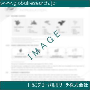 グローバルリサーチ調査資料のイメージ